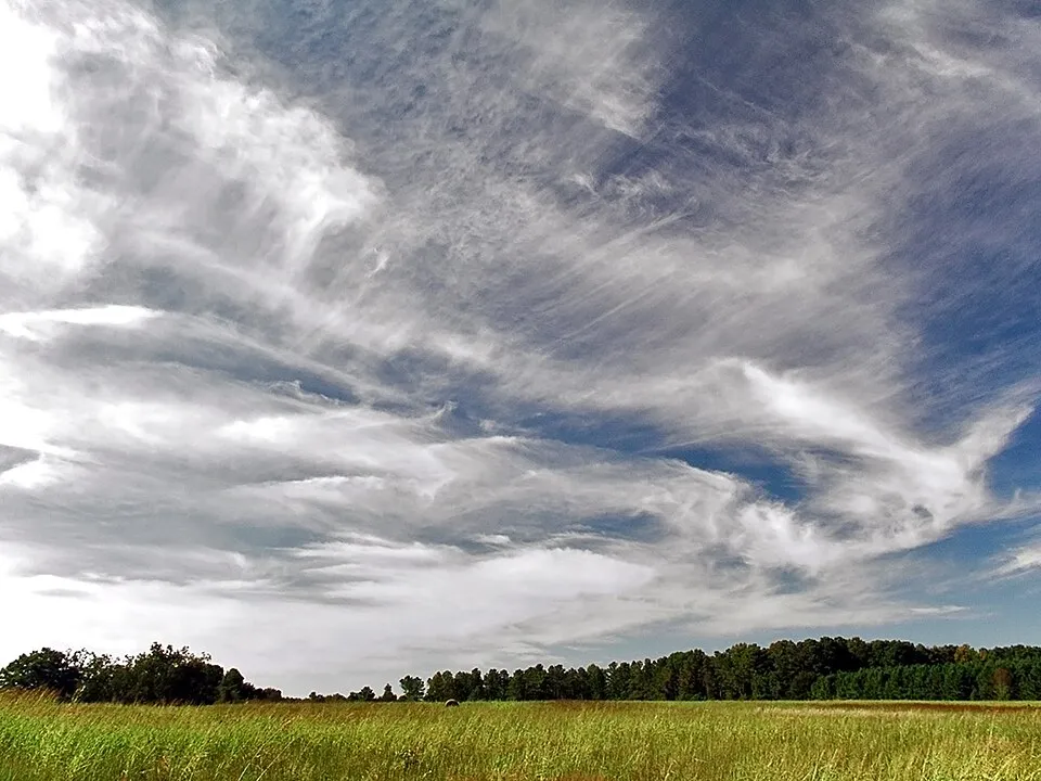 Cirrus streaks