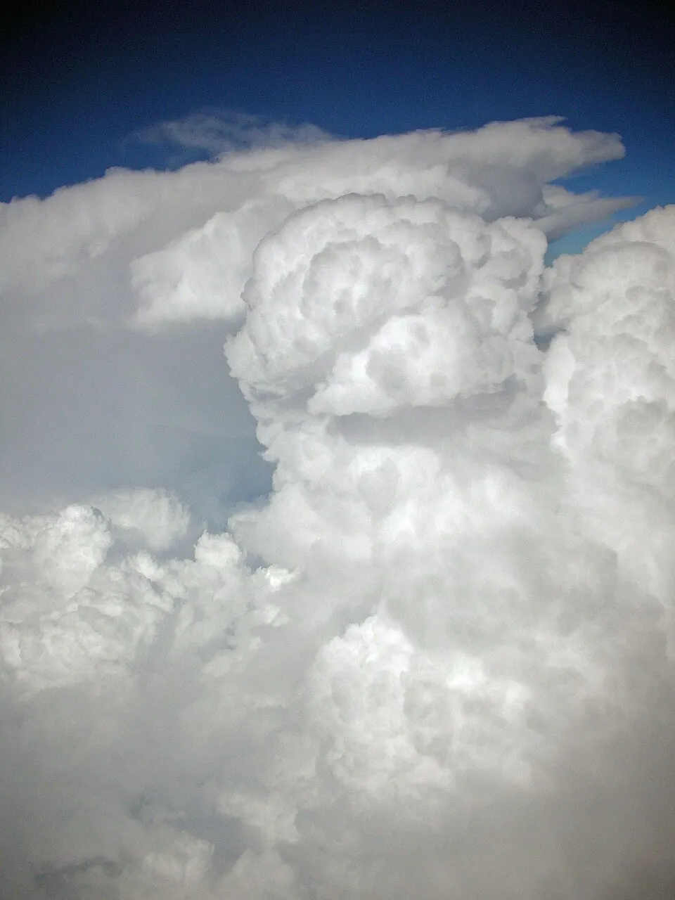 Towering cumulus